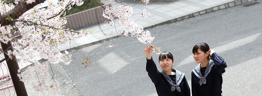 和歌を詠み、俳句をひねる