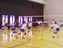 10.11.03_volley01.jpg