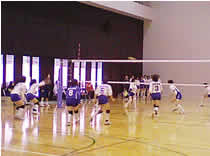 10.11.03_volley02.jpg