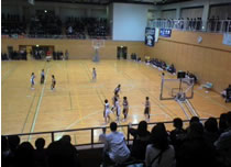 11.02.06_basket02.jpg