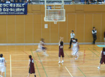 11.05.29_basket02.jpg