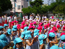 自由選択保育：幼稚園で保育実習
