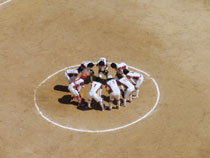 11.08.08_softball03.jpg