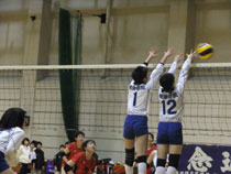 13.04.01_volley01.jpg