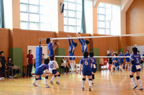 13.06.02_bolleyball02.jpg