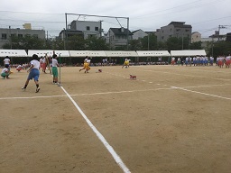 2016.10.3_3980.jpg