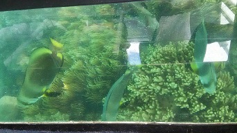 IMG_1782.JPG
