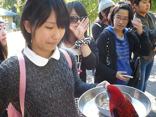 2学年：修学旅行A班　5日目