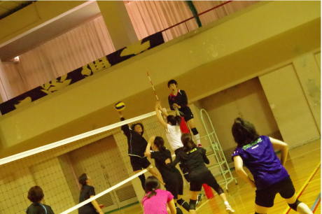 volleyball0502.jpg