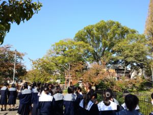 和歌の授業にて～桃ヶ池公園を散策～